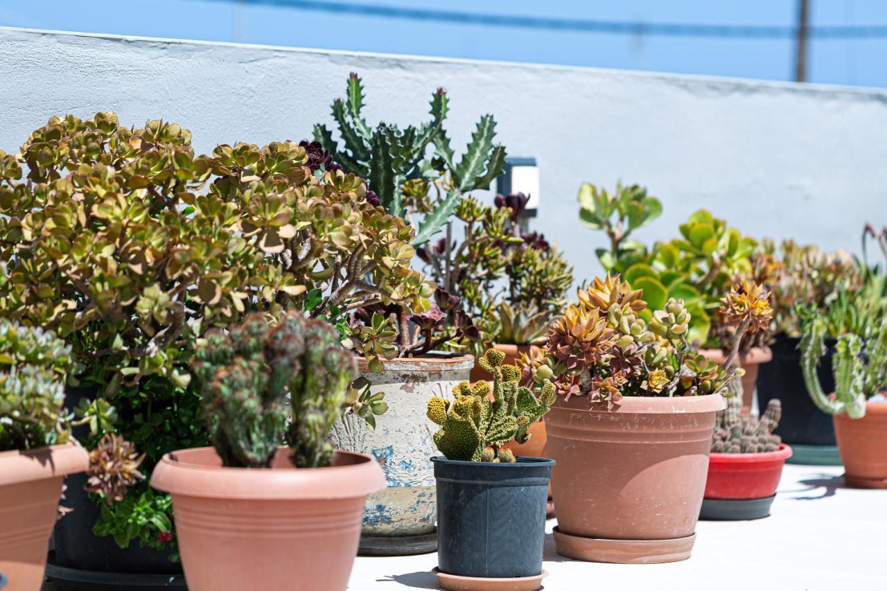Cactopia Apartments- Hoya-Aeonium Rethymno  Exterior photo